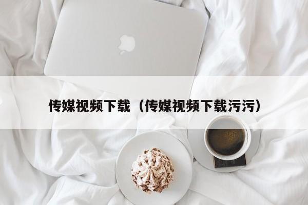 传媒视频下载（传媒视频下载污污）