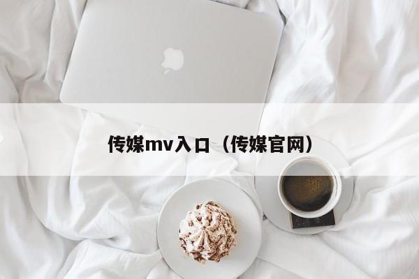 传媒mv入口（传媒官网）