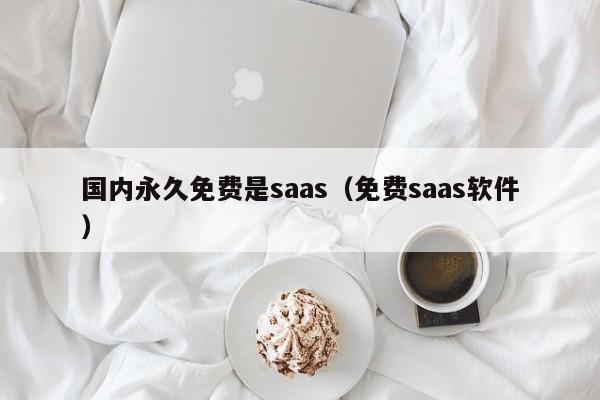国内永久免费是saas（免费saas软件）
