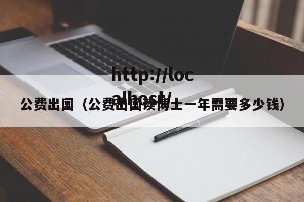 公费出国(公费出国读博士一年需要多少钱)